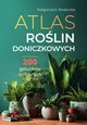 Atlas rolin doniczkowych 200 gatunkw ozdobnych, Mederska Magorzata