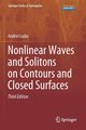Nonlinear Waves and Solitons on Contours and Closed Surfaces, Ludu Andrei
