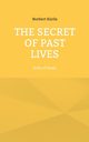 The Secret of Past Lives, Krlis Norbert
