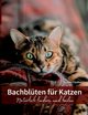Bachblten fr Katzen, Fiedler Doreen