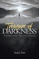 Treasure of Darkness, Tran Anmy