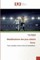 Modlisations des jeux rduits force, Abdelhadi Kacem