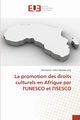 La promotion des droits culturels en Afrique par l'UNESCO et l'ISESCO, Onkel Mbamezome Dieudonne