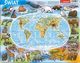 Puzzle ramkowe wiat fizyczna, 