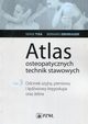 Atlas osteopatycznych technik stawowych Tom 3, Tixa Serge, Ebenegger Bernard