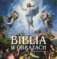 Biblia w obrazach z Muzew Watykaskich, 