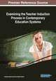 Examining the Teacher Induction Process in Contemporary Education Systems, 