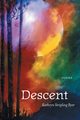 Descent, Byer Kathryn Stripling