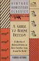 A Guide to Horse Breeds - A Collection of Historical Articles on Horse Varieties from Around the World, Various