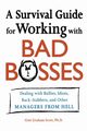 A Survival Guide for Working with Bad Bosses, Scott Gini