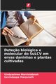 Dete?o biolgica e molecular do SuLCV em ervas daninhas e plantas cultivadas, Marrisiddaiah Vindyashree