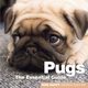 Pugs, 
