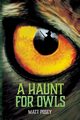 A Haunt for Owls, Posey Matt