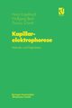 Kapillarelektrophorese, Engelhardt Heinz