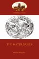 The Water Babies  (Aziloth Books), Kingsley Charles
