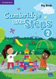 Cambridge Little Steps 2 Big Book, 