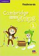 Cambridge Little Steps 1 Flashcards, 