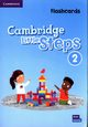 Cambridge Little Steps 2 Flashcards, 