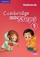 Cambridge Little Steps 3 Flashcards, 