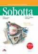 Atlas anatomii czowieka Sobotta. Angielskie mianownictwo. Tom 3., Paulsen F., Waschke J.