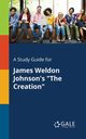 A Study Guide for James Weldon Johnson's 