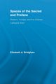 Spaces of the Sacred and Profane, Bridgham Elizabeth A.