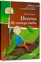 Drzewo do samego nieba, Terlikowska Maria