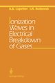 Ionization Waves in Electrical Breakdown of Gases, Lagarkov A.N.