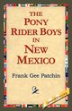 The Pony Rider Boys in New Mexico, Patchin Frank Gee