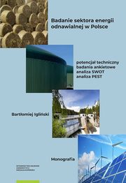 Badanie sektora energii odnawialnej w Polsce ? potencja techniczny, badania ankietowe, analiza SWOT, analiza PEST, Bartomiej Igliski