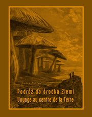 Podr do rodka Ziemi. Voyage au centre de la Terre, Jules Verne