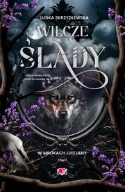 Wilcze lady. W mrokach Luizjany. Tom 1, Ludka Skrzydlewska
