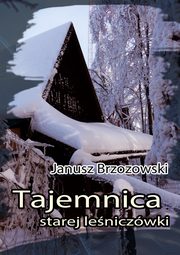 Tajemnica starej leniczwki, Janusz Brzozowski