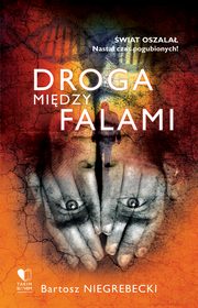 Droga midzy falami, Bartosz Niegrebecki