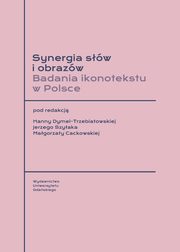 Synergia sw i obrazw. Badania ikonotekstu w Polsce, 