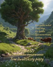 Powieci Jzefa Ignacego Kraszewskiego. Tom 25, Jzef Ignacy Kraszewski