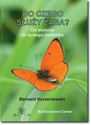 Do czego suy aba?, Bernard Korzeniewski