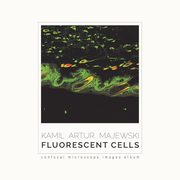 Fluorescent cells. Confocal microscope images album, Kamil Artur Majewski