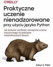 Praktyczne uczenie nienadzorowane przy uyciu jzyka Python, Ankur A. Patel