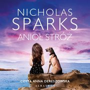 ANIO STRӯ, Nicholas Sparks