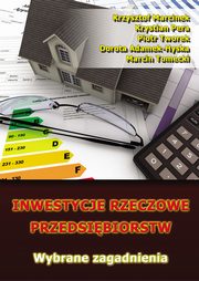 Inwestycje rzeczowe przedsibiorstw. Wybrane zagadnienia, Krzysztof Marcinek, Krystian Pera, Piotr Tworek, Dorota Adamek-Hyska, Marcin Tomecki