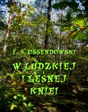 ksiazka tytu: W ludzkiej i lenej kniei autor: Antoni Ferdynand Ossendowski