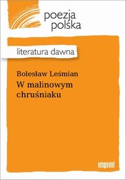 ksiazka tytu: W malinowym chruniaku autor: Bolesaw Lemian