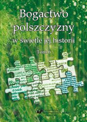 ksiazka tytu: Bogactwo polszczyzny w wietle jej historii. T. 6 - 08 Od chnika do kradzienika ? jak zmieniay si nazwy zodzieja na przestrzeni wiekw autor: 