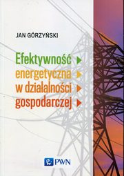 Efektywno energetyczna w dziaalnoci gospodarczej, Jan Grzyski