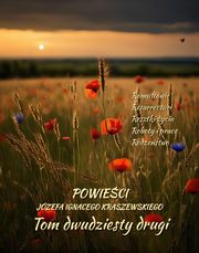 Powieci Jzefa Ignacego Kraszewskiego. Tom 22, Jzef Ignacy Kraszewski