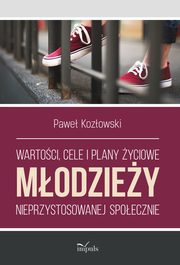 Wartoci, cele i plany yciowe modziey nieprzystosowanej spoecznie, Pawe Kozowski