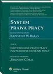 System prawa pracy. TOM IV. Indywidualne prawo pracy. Pozaumowne stosunki pracy, Krzysztof Walczak, Wiesaw Perdeus, ukasz Pisarczyk, Krzysztof Stefaski, Tomasz Duraj, Helena Szewczyk, Jakub Stelina, Justyna Czerniak-Swdzio, Zbigniew Gral, Eliza Mazurczak-Jasiska, Elbieta Ura, Krzysztof Wojciech Baran, Stefan Paek, Anna Dubow