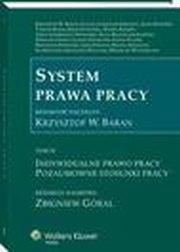 System prawa pracy. TOM IV. Indywidualne prawo pracy. Pozaumowne stosunki pracy, Krzysztof Walczak, Wiesaw Perdeus, ukasz Pisarczyk, Krzysztof Stefaski, Tomasz Duraj, Helena Szewczyk, Jakub Stelina, Justyna Czerniak-Swdzio, Eliza Mazurczak-Jasiska, Elbieta Ura, Krzysztof Wojciech Baran, Stefan Paek, Anna Dubowik, Daniel Ksi