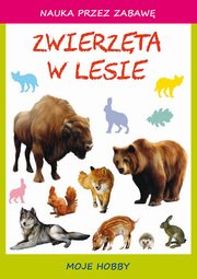 Zwierzta w lesie, Beata Guzowska